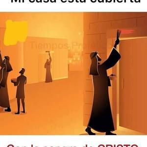 Meet your Posher, Mari